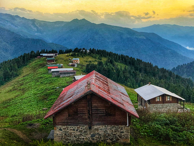 Pokut Турция